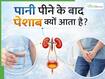पानी पीते ही 10-15 मिनट में आ जाता है पेशाब? जानिए क्या यह किसी बीमारी का संकेत है