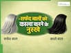 सफेद बालों से परेशान हैं? Castor Oil में ये 5 चीजें मिलाकर लगाएं, मिल सकता है फायदा