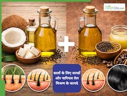 क्या वाकई सरसों और नारियल तेल का मिश्रण करता है बालों का झड़ना कम? ट्राई करने से पहले जान लें लगाने का सही तरीका