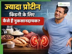 क्या ज्यादा प्रोटीन डाइट किडनी के लिए खतरनाक होती है? जिम वाले लोगों के लिए जानना है जरूरी