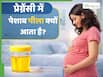 क्या प्रेग्नेंसी के शुरुआत में पेशाब पीला आना नॉर्मल है? जानें क्यों बदलता है Urine का रंग