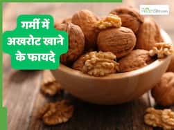 गर्मी में रोज खाएं 1-2 भीगे हुए अखरोट, इस तरह खाने से मिलेंगे कई फायदे