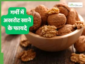 गर्मी में रोज खाएं 1-2 भीगे हुए अखरोट, इस तरह खाने से मिलेंगे कई फायदे गर्मी में रोज खाएं 1-2 भीगे हुए अखरोट, इस तरह खाने से मिलेंगे कई फायदे