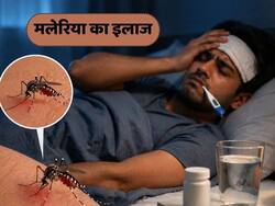 मलेरिया का इलाज किन फैक्टर्स पर निर्भर करता है?