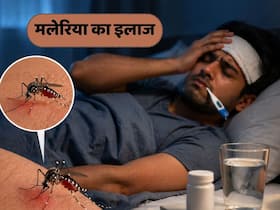 मलेरिया का इलाज किन फैक्टर्स पर निर्भर करता है?