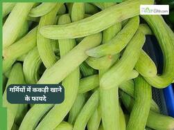 गर्मियों में खाने के स्वाद को बढ़ा देगी ककड़ी, खाने से हाइड्रेशन और पेट की परेशानी हो सकती है कम