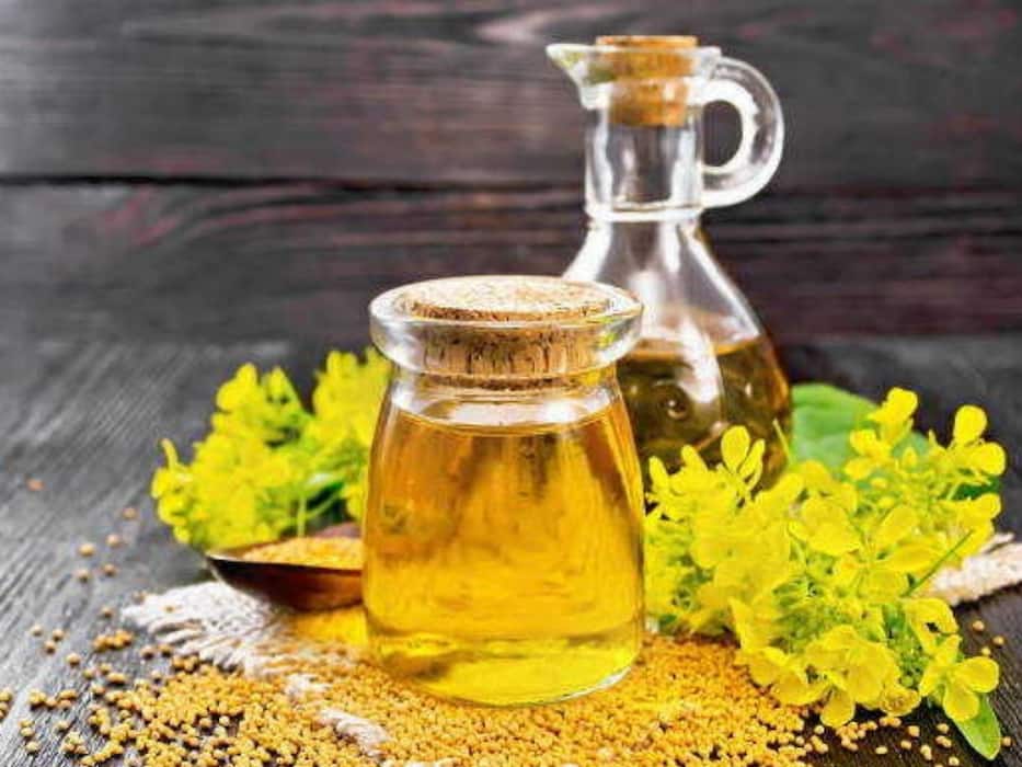 बच्चों के बालों में घना बनाने के लिए कौन सा तेल लगाएं? एक्सपर्ट ने शेयर की 5 तेलों की लिस्ट