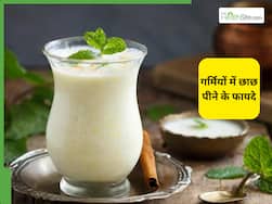 हाइड्रेशन से लेकर पिंपल्स तक को दूर करती है छाछ, गर्मियों में पीने से मिलेंगे ये 5 फायदे