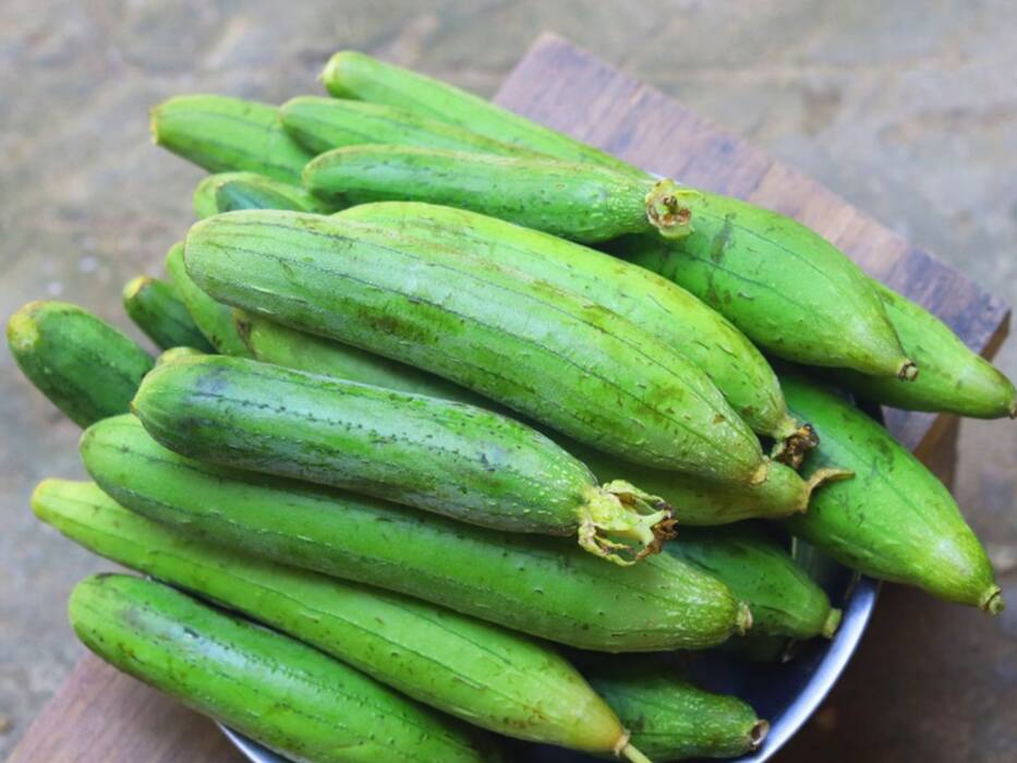 गर्मियों में कौन सी सब्जियां खानी चाहिए और क्यों?