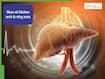 World Liver Day 2026: लहसुन, नींबू से लेकर हल्दी तक, लिवर को डिटॉक्स करने के लिए अपनाएं ये 5 घरेलू उपाय