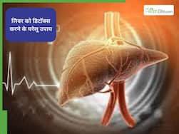 World Liver Day 2026: लहसुन, नींबू से लेकर हल्दी तक, लिवर को डिटॉक्स करने के लिए अपनाएं ये 5 घरेलू उपाय