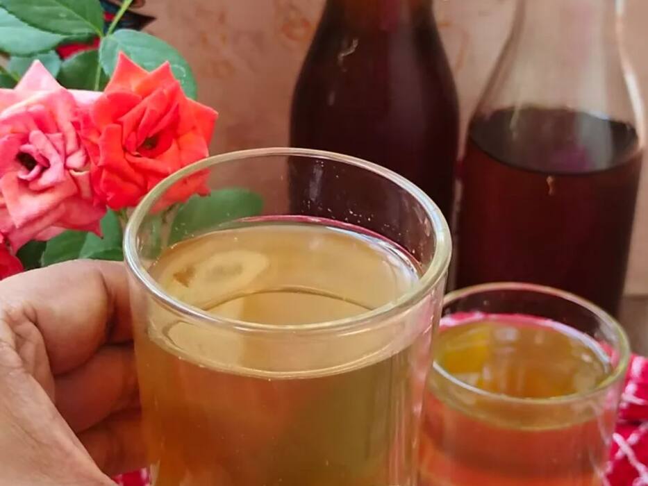 हीटवेव से बचाती हैं ये 5 जड़ी-बूटियां, इस तरह सेवन करने से मिलेगा फायदा