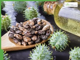 5 Best natural oils to mix with castor oil for thick hair growth on oily scalp