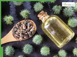 5 Best oils to mix with castor oil for thick hair growth with an oily scalp