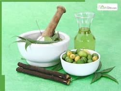 5 Best natural oils to mix with neem oil for dandruff control and hair growth on oily scalp