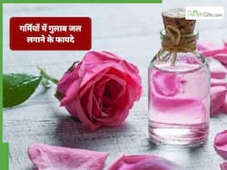 क्या गर्मियों में चेहरे पर गुलाब जल लगा सकते हैं?