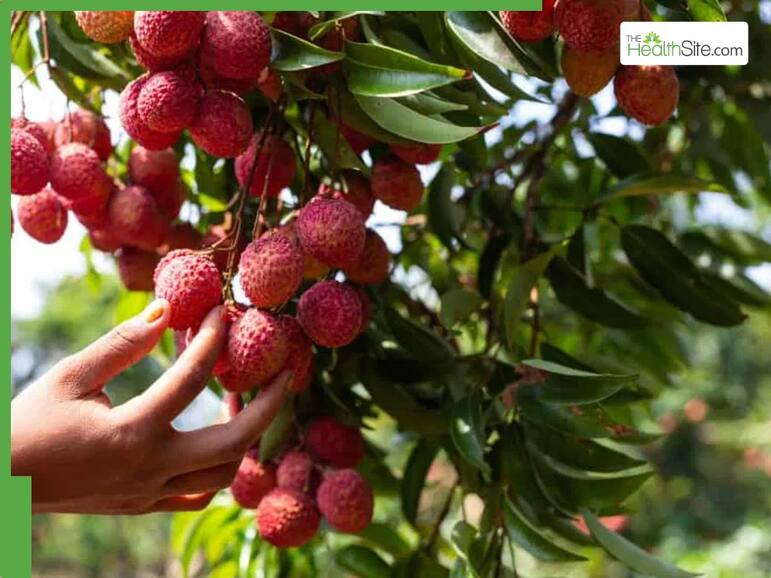 Lychee benefits in summer: 5 surprising health reasons to add this juicy fruit to your diet