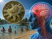 Why ‘brain-eating amoeba’ cases rise in summer: Here’s what an expert says about its impact on your health