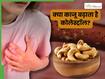 क्या काजू खाने से कोलेस्ट्रॉल बढ़ता है?