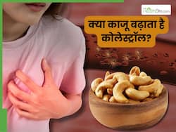 क्या काजू खाने से कोलेस्ट्रॉल बढ़ता है?