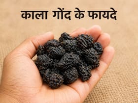 गर्मियों में शरीर को हाइड्रेट रखेगा काला गोंद, जानें फायदे और सेवन का तरीका
