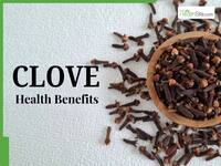 Clove Health Benefits: What happens when you chew 1 clove daily on an empty stomach? Patanjali expert explains