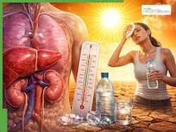 Dehydration, heat and organ stress: Why summer is risky for liver and kidneys