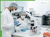 What are drug-resistant fungi? Practical ways to reduce risk as scientists warn of pandemic-level threat
