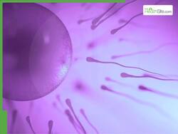Egg pooling explained: How it boosts IVF success for women with low egg count
