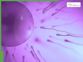 Egg pooling explained: How it boosts IVF success for women with low egg count