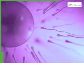 Egg pooling explained: How it boosts IVF success for women with low egg count