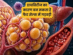 फैट सेल्स की गड़बड़ी बढ़ा सकता है डायबिटीज होने का खतरा, नई रिसर्च में बताया इसका कारण