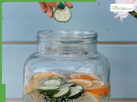 5 refreshing summer drinks to make at home using cucumber