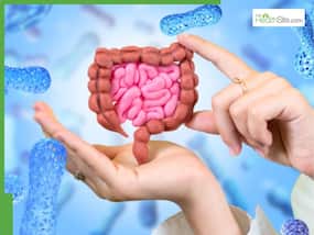 Gut health explained: How your microbiome impacts brain, immunity, and disease risk