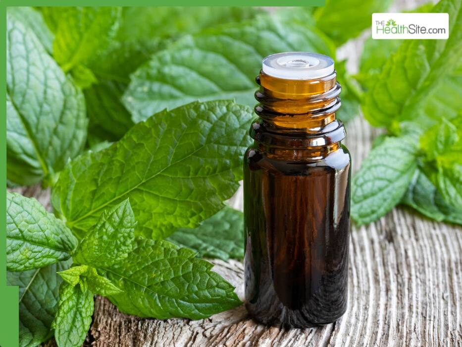 5 Best oils to blend with olive oil for thick and faster hair growth on oily scalp