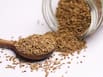 Carom seeds health benefits: What happens if you drink Ajwain water daily on an empty stomach?