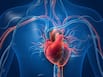 Heart blockage explained: Causes, early warning signs, risk factors and tests you shouldn’t ignore