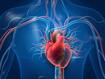 Heart blockage explained: Causes, early warning signs, risk factors and tests you shouldn’t ignore