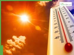 Heatwave kidney crisis: How extreme summer temperatures are silently damaging kidneys in India