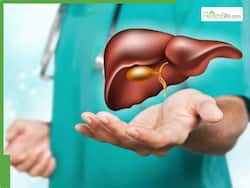 World Liver Day 2026: What   s making your liver work harder despite 24/7 detox?
