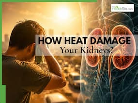 IMD issues heatwave alert in India: How summer dehydration causes irreversible kidney damage - signs to watch out for