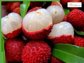 Lychee benefits in summer: 5 surprising health reasons to add this juicy fruit to your diet