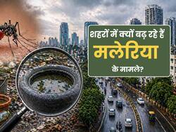 Urban Malaria : गांव नहीं, शहर बन रहे हैं मलेरिया का नया हॉटस्पॉट