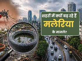 Urban Malaria : गांव नहीं, शहर बन रहे हैं मलेरिया का नया हॉटस्पॉट