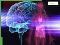 Mind-body disorders on the rise: Why you feel real symptoms even when medical tests are normal