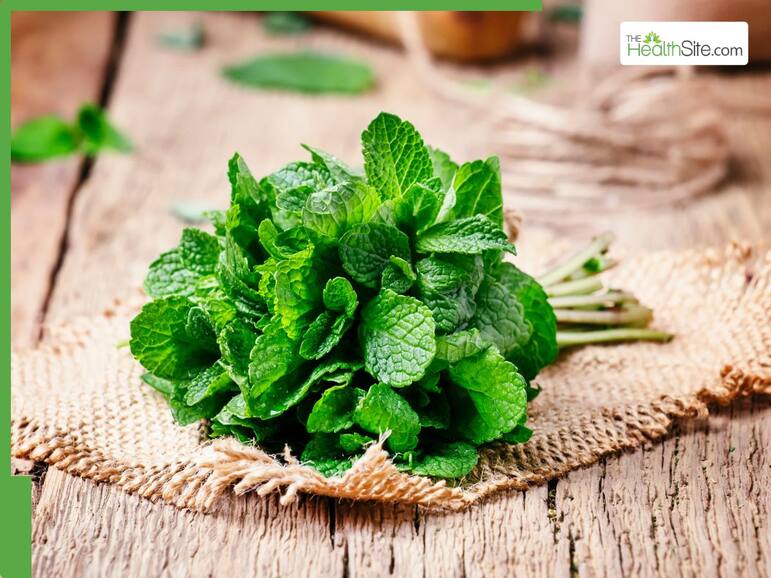 5 best cooling foods to ease summer heat stress