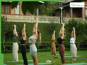 From yoga to panchakarma: The complete healing approach at Patanjali Yogpeeth