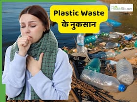 आप भी कूड़े में फेंक देते हैं प्लास्टिक? जानें Plastic Waste सेहत को कैसे नुकसान पहुंचाता है? आप भी कूड़े में फेंक देते हैं प्लास्टिक? जानें Plastic Waste सेहत को कैसे नुकसान पहुंचाता है?