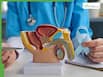 Prostate problems in your 30s? Early warning signs men must never ignore