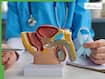 Prostate problems in your 30s? Early warning signs men must never ignore